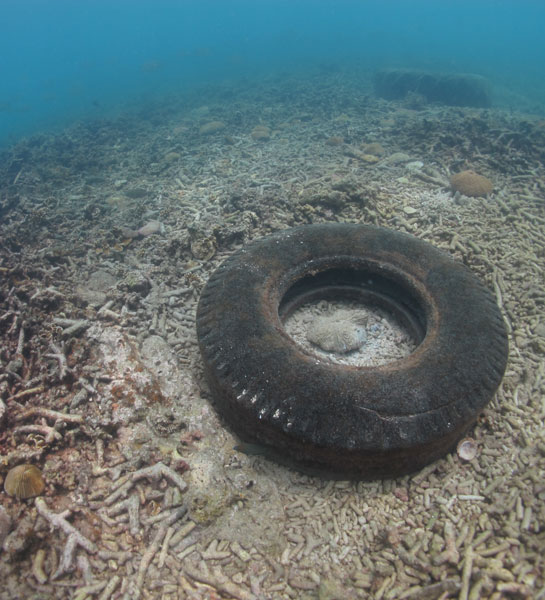 marine Debris Tire